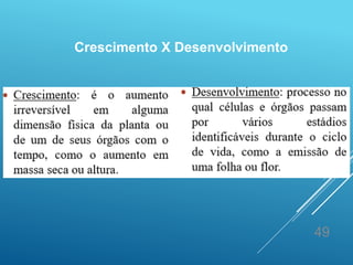 49
Crescimento X Desenvolvimento
 