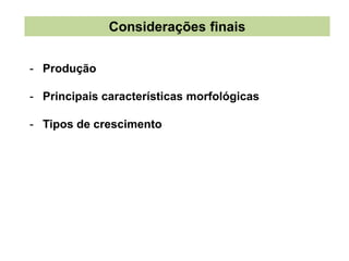 Considerações finais
- Produção
- Principais características morfológicas
- Tipos de crescimento
 