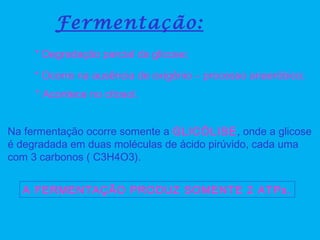 Fermentação:
* Degradação parcial da glicose;
* Ocorre na ausência de oxigênio – processo anaeróbico;
* Acontece no citosol.
Na fermentação ocorre somente a GLICÓLISE, onde a glicose
é degradada em duas moléculas de ácido pirúvido, cada uma
com 3 carbonos ( C3H4O3).
A FERMENTAÇÃO PRODUZ SOMENTE 2 ATPs.
 
