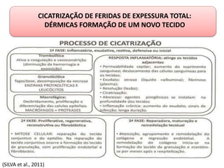 CICATRIZAÇÃO DE FERIDAS DE EXPESSURA TOTAL:
DÉRMICAS FORMAÇÃO DE UM NOVO TECIDO
(SILVA et al., 2011)
 