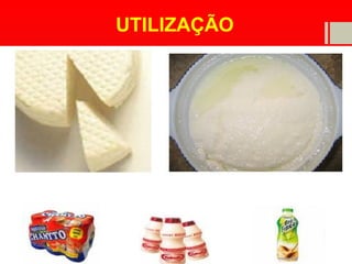UTILIZAÇÃO
 