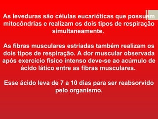 As leveduras são células eucarióticas que possuem
mitocôndrias e realizam os dois tipos de respiração
simultaneamente.
As fibras musculares estriadas também realizam os
dois tipos de respiração. A dor muscular observada
após exercício físico intenso deve-se ao acúmulo de
ácido lático entre as fibras musculares.
Esse ácido leva de 7 a 10 dias para ser reabsorvido
pelo organismo.
 