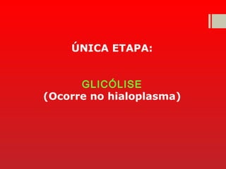 ÚNICA ETAPA:
GLICÓLISE
(Ocorre no hialoplasma)
 