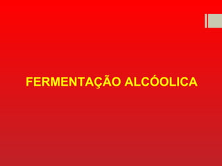 FERMENTAÇÃO ALCÓOLICA
 