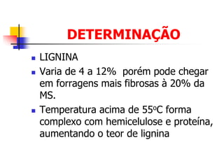 DETERMINAÇÃO
 LIGNINA
 Varia de 4 a 12% porém pode chegar
em forragens mais fibrosas à 20% da
MS.
 Temperatura acima de 55oC forma
complexo com hemicelulose e proteína,
aumentando o teor de lignina
 