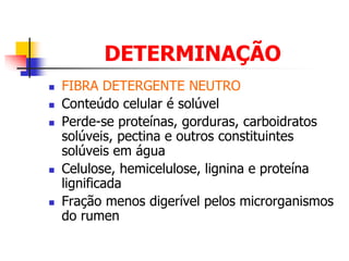 DETERMINAÇÃO
 FIBRA DETERGENTE NEUTRO
 Conteúdo celular é solúvel
 Perde-se proteínas, gorduras, carboidratos
solúveis, pectina e outros constituintes
solúveis em água
 Celulose, hemicelulose, lignina e proteína
lignificada
 Fração menos digerível pelos microrganismos
do rumen
 