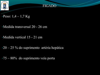 FIGADO

-Peso: 1,4 – 1,7 Kg


-Medida transversal 20 - 26 cm


-Medida vertical 15 - 21 cm


-20 – 25 % do suprimento artéria hepática


-75 – 80% do suprimento veia porta
 