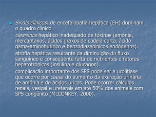  Sinais clínicos: de encefalopatia hepática (EH) dominam
o quadro clínico
- clearence hepático inadequado de toxinas (amônia,
mercaptanos, ácidos graxos de cadeia curta, ácido
gama-aminobutírico e benzodiazepínicos endógenos).
- atrofia hepática resultante da diminuição do fluxo
sanguíneo e conseqüente falta de nutrientes e fatores
hepatotrópicos (insulina e glucagon).
- complicação importante dos SPS pode ser a urolitíase
que ocorre por causa do aumento da excreção urinária
de amônia e de ácidos úricos. Pode ocorrer cálculos
renais, vesical e ureterais em até 50% dos animais com
SPS congênito (McCONKEY, 2000).
 