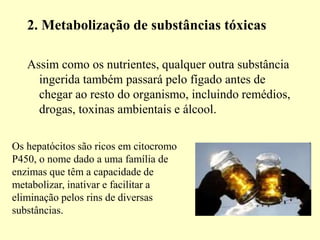 2. Metabolização de substâncias tóxicas
Assim como os nutrientes, qualquer outra substância
ingerida também passará pelo fígado antes de
chegar ao resto do organismo, incluindo remédios,
drogas, toxinas ambientais e álcool.
Os hepatócitos são ricos em citocromo
P450, o nome dado a uma família de
enzimas que têm a capacidade de
metabolizar, inativar e facilitar a
eliminação pelos rins de diversas
substâncias.
 