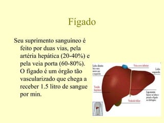 Fígado
Seu suprimento sanguíneo é
feito por duas vias, pela
artéria hepática (20-40%) e
pela veia porta (60-80%).
O fígado é um órgão tão
vascularizado que chega a
receber 1.5 litro de sangue
por min.
 