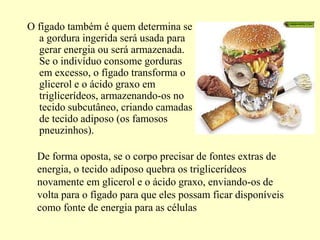 O fígado também é quem determina se
a gordura ingerida será usada para
gerar energia ou será armazenada.
Se o indivíduo consome gorduras
em excesso, o fígado transforma o
glicerol e o ácido graxo em
triglicerídeos, armazenando-os no
tecido subcutâneo, criando camadas
de tecido adiposo (os famosos
pneuzinhos).
De forma oposta, se o corpo precisar de fontes extras de
energia, o tecido adiposo quebra os triglicerídeos
novamente em glicerol e o ácido graxo, enviando-os de
volta para o fígado para que eles possam ficar disponíveis
como fonte de energia para as células
 
