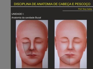 DISCIPLINA DE ANATOMIA DE CABEÇA E PESCOÇO
Prof: Tony Carlos
UNIDADE I:
Anatomia da cavidade Bucal
 
