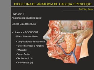 DISCIPLINA DE ANATOMIA DE CABEÇA E PESCOÇO
Prof: Tony Carlos
UNIDADE I:
Anatomia da cavidade Bucal
Limites Cavidade Bucal
 Lateral – BOCHECHA
(Plano Intermediário)
Corpo Adiposo da bochecha
Ducto Parotídeo e Parótida
Masseter
Vasos Faciais
Rr. Bucais do VII
Nervo Bucal (V)
 