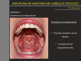DISCIPLINA DE ANATOMIA DE CABEÇA E PESCOÇO
Prof: Tony Carlos
UNIDADE I:
Anatomia da cavidade Bucal
Divisões da Cavidade Bucal
 Processo alveolar e arcos
dentais
 Cavidade Bucal
propriamente dita
 