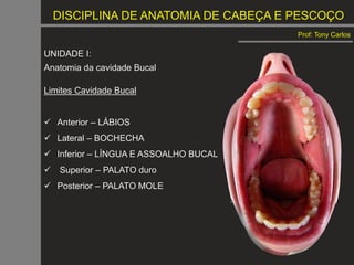 DISCIPLINA DE ANATOMIA DE CABEÇA E PESCOÇO
Prof: Tony Carlos
UNIDADE I:
Anatomia da cavidade Bucal
Limites Cavidade Bucal
 Anterior – LÁBIOS
 Lateral – BOCHECHA
 Inferior – LÍNGUA E ASSOALHO BUCAL
 Superior – PALATO duro
 Posterior – PALATO MOLE
 