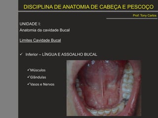 DISCIPLINA DE ANATOMIA DE CABEÇA E PESCOÇO
Prof: Tony Carlos
UNIDADE I:
Anatomia da cavidade Bucal
Limites Cavidade Bucal
 Inferior – LÍNGUA E ASSOALHO BUCAL
Músculos
Glândulas
Vasos e Nervos
 