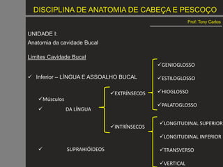 DISCIPLINA DE ANATOMIA DE CABEÇA E PESCOÇO
Prof: Tony Carlos
UNIDADE I:
Anatomia da cavidade Bucal
Limites Cavidade Bucal
 Inferior – LÍNGUA E ASSOALHO BUCAL
Músculos
 DA LÍNGUA
 SUPRAHIÓIDEOS
EXTRÍNSECOS
INTRÍNSECOS
GENIOGLOSSO
ESTILOGLOSSO
HIOGLOSSO
PALATOGLOSSO
LONGITUDINAL SUPERIOR
LONGITUDINAL INFERIOR
TRANSVERSO
VERTICAL
 