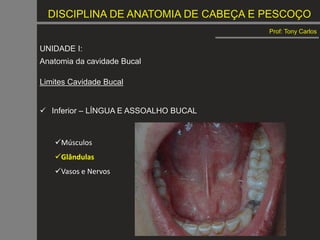 DISCIPLINA DE ANATOMIA DE CABEÇA E PESCOÇO
Prof: Tony Carlos
UNIDADE I:
Anatomia da cavidade Bucal
Limites Cavidade Bucal
 Inferior – LÍNGUA E ASSOALHO BUCAL
Músculos
Glândulas
Vasos e Nervos
 