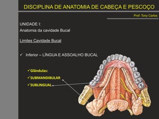 DISCIPLINA DE ANATOMIA DE CABEÇA E PESCOÇO
Prof: Tony Carlos
UNIDADE I:
Anatomia da cavidade Bucal
Limites Cavidade Bucal
 Inferior – LÍNGUA E ASSOALHO BUCAL
Glândulas:
SUBMANDIBULAR
SUBLINGUAL
 