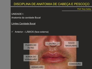 DISCIPLINA DE ANATOMIA DE CABEÇA E PESCOÇO
Prof: Tony Carlos
UNIDADE I:
Anatomia da cavidade Bucal
Limites Cavidade Bucal
 Anterior – LÁBIOS (face externa)
FILTRO
PILARES DO
FILTRO
BORDA DO
VERMELHÃO
VERMELHÃO
COMISSURA
SULCO
NASOLABIAL
 