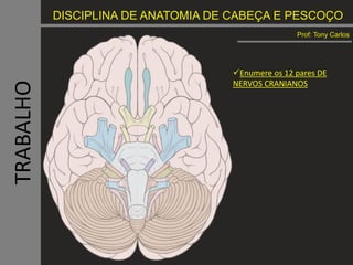 DISCIPLINA DE ANATOMIA DE CABEÇA E PESCOÇO
Prof: Tony Carlos
Enumere os 12 pares DE
NERVOS CRANIANOS
TRABALHO
 
