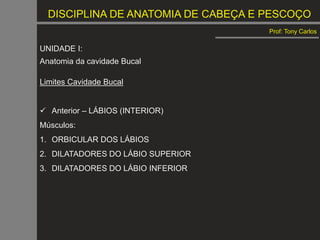 DISCIPLINA DE ANATOMIA DE CABEÇA E PESCOÇO
Prof: Tony Carlos
UNIDADE I:
Anatomia da cavidade Bucal
Limites Cavidade Bucal
 Anterior – LÁBIOS (INTERIOR)
Músculos:
1. ORBICULAR DOS LÁBIOS
2. DILATADORES DO LÁBIO SUPERIOR
3. DILATADORES DO LÁBIO INFERIOR
 
