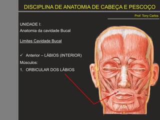 DISCIPLINA DE ANATOMIA DE CABEÇA E PESCOÇO
Prof: Tony Carlos
UNIDADE I:
Anatomia da cavidade Bucal
Limites Cavidade Bucal
 Anterior – LÁBIOS (INTERIOR)
Músculos:
1. ORBICULAR DOS LÁBIOS
 
