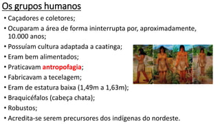Os grupos humanos
• Caçadores e coletores;
• Ocuparam a área de forma ininterrupta por, aproximadamente,
10.000 anos;
• Possuíam cultura adaptada a caatinga;
• Eram bem alimentados;
• Praticavam antropofagia;
• Fabricavam a tecelagem;
• Eram de estatura baixa (1,49m a 1,63m);
• Braquicéfalos (cabeça chata);
• Robustos;
• Acredita-se serem precursores dos indígenas do nordeste.
 