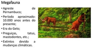 Megafauna
•Agreste de
Pernambuco;
•Período aproximado:
10.000 anos antes do
presente;
•Era do Gelo;
•Preguiças, tatus,
mastodontes, etc.;
•Extintos devido a
mudanças climáticas.
 
