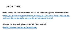 Saiba mais:
• Seca revela fósseis de animais da Era do Gelo no Agreste pernambucano
• http://g1.globo.com/pernambuco/noticia/2013/05/seca-revela-fosseis-de-
animais-da-era-do-gelo-no-agreste-pernambucano.html
• Museu de Arqueologia da UNICAP (Tour virtual):
• https://museu.unicap.br/tourvirtual/
 