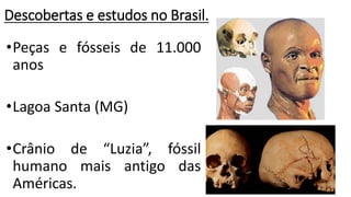 Descobertas e estudos no Brasil.
•Peças e fósseis de 11.000
anos
•Lagoa Santa (MG)
•Crânio de “Luzia”, fóssil
humano mais antigo das
Américas.
 