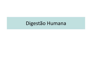 Digestão Humana 