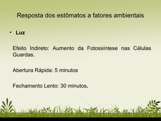 Resposta dos estômatos a fatores ambientais
• Luz
Efeito Indireto: Aumento da Fotossíntese nas Células
Guardas.
Abertura Rápida: 5 minutos
Fechamento Lento: 30 minutos.
 