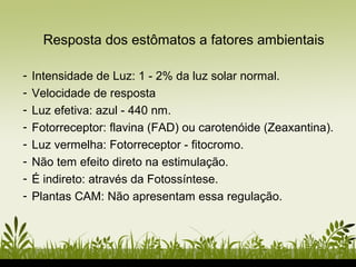 - Intensidade de Luz: 1 - 2% da luz solar normal.
- Velocidade de resposta
- Luz efetiva: azul - 440 nm.
- Fotorreceptor: flavina (FAD) ou carotenóide (Zeaxantina).
- Luz vermelha: Fotorreceptor - fitocromo.
- Não tem efeito direto na estimulação.
- É indireto: através da Fotossíntese.
- Plantas CAM: Não apresentam essa regulação.
Resposta dos estômatos a fatores ambientais
 