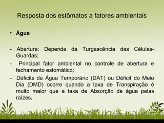 • Água
- Abertura: Depende da Turgescência das Células-
Guardas;
- Principal fator ambiental no controle de abertura e
fechamento estomático;
- Déficits de Água Temporário (DAT) ou Déficit do Meio
Dia (DMD) ocorre quando a taxa de Transpiração é
muito maior que a taxa de Absorção de água pelas
raízes.
Resposta dos estômatos a fatores ambientais
 