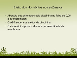 • Abertura dos estômatos pela citocinina na faixa de 0,05
a 10 micromolar;
• O ABA supera os efeitos da citocinina;
• Os hormônios podem alterar a permeabilidade da
membrana.
Efeito dos Hormônios nos estômatos
 