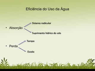 Eficiência do Uso da Água
• Absorção
• Perda
Sistema radicular
Suprimento hídrico do solo
Tempo
Escala
 