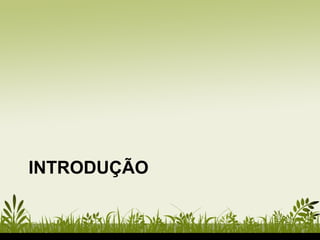 INTRODUÇÃO
 