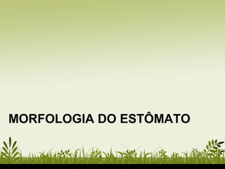 MORFOLOGIA DO ESTÔMATO
 