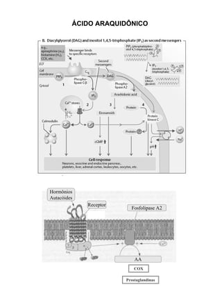 Hormônios
Autacóides
Receptor
Fosfolipase A2
AA
COX
Prostaglandinas
ÁCIDO ARAQUIDÔNICO
 