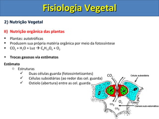 Fisiologia Vegetal
2) Nutrição Vegetal

II) Nutrição orgânica das plantas
   Plantas: autotróficas
   Produzem sua própria matéria orgânica por meio da fotossíntese
   CO2 + H2O + Luz  C6H12O6 + O2

•   Trocas gasosas via estômatos
Estômato
    o Estruturas
          Duas células guarda (fotossintetizantes)
                                                             CO2
          Células subsidiárias (ao redor das cel. guarda)
          Ostiolo (abertura) entre as cel. guarda



                                                                     O2
 