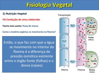 Fisiologia Vegetal
2) Nutrição Vegetal
                                                          Transpiração

VI) Condução de seiva elaborada

Teoria mais aceita: Fluxo de massa

Como a matéria orgânica se movimenta no floema?

 Folhas (órgãos fonte)                                                           Fonte
                                                                                  (folhas)
   o Floema possui maior concentração de
 Então, oorgânica. com que a água
   matéria que faz
     se movimente no interior do
 Raízes (órgãos dreno)
   o Floema possui menor concentração de
   matéria orgânica é a diferença de
         floema
          pressão osmótica existente
    A água passa do xilema para o floema, onde existe
    entre o órgão fonte (folhas) e o
    maior concentração de matéria orgânica (osmose)

                      dreno (raízes)
    Ao atingir o floema a água empurra as moléculas
    orgânicas para o seu destino onde serão assimiladas
                                                             Xilema      Floema    Dreno
                                                                                   (raízes)
 