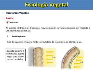 Fisiologia Vegetal
•   Hormônios Vegetais

• Auxina
    II) Tropismos

    As auxinas controlam os tropismos: movimentos de curvatura da planta em resposta a
    um determinado estímulo.

     i.   Fototropismo

     Tipo de tropismo em que a fonte estimuladora do movimento da planta é a luz.


    Quando a planta é
    iluminada a auxina
     migra para o lado
      oposto ao da luz
 