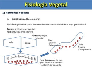 Fisiologia Vegetal
1) Hormônios Vegetais

   ii.     Gravitropismo (Geotropismo)

   Tipo de tropismo em que a fonte estimuladora do movimento é a força gravitacional
   Caule: gravitropismo negativo
   Raiz: gravitropismo positivo
                               Planta em posição
                                   horizontal
                                                   Raiz
         raiz          caule                       ↓auxina
                                                   ↑alongamento            Caule
                                                                           ↑auxina
                                                                           ↑alongamento




                                       Força da gravidade faz com
                                       que a auxina se acumule na
                                        região inferior da planta.
 