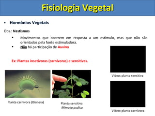 Fisiologia Vegetal
•    Hormônios Vegetais

Obs.: Nastismos
            Movimentos que ocorrem em resposta a um estímulo, mas que não são
             orientados pela fonte estimuladora.
            Não há participação de Auxina


      Ex: Plantas insetívoras (carnívoras) e sensitivas.


                                                           Vídeo: planta sensitiva




    Planta carnívora (Dioneia)        Planta sensitiva
                                      Mimosa pudica
                                                           Vídeo: planta carnívora
 