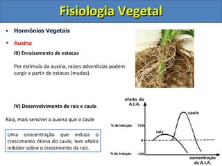 Fisiologia Vegetal
•   Hormônios Vegetais

• Auxina
    III) Enraizamento de estacas

    Por estímulo da auxina, raízes adventícias podem
    surgir a partir de estacas (mudas).




    IV) Desenvolvimento de raiz e caule

Raiz, mais sensível a auxina que o caule

Uma concentração que induza o
crescimento ótimo do caule, tem efeito
inibidor sobre o crescimento da raiz.
 