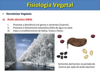 Fisiologia Vegetal
•   Hormônios Vegetais

e) Ácido abscísico (ABA)
    I.     Promove a dormência em gemas e sementes (inverno)
    II.    Promove o fechamento estomático (falta de água no solo)
    III.   Induz o envelhecimento de folhas, frutos e flores.




                                                    Sementes dormentes no período do
                                                    inverno por ação do ácido abscísico
 