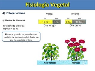 Fisiologia Vegetal
4) Fotoperiodismo                         Verão                  Inverno
                                        Dia       Noite    Dia        Noite
a) Plantas de dia-curto
                                       16 hs      8 hs    8 hs      16 hs
Fotoperíodo crítico da
espécie = 11 hs

  Floresce quando submetida a um
 período de luminosidade inferior ao
       seu fotoperíodo crítico.




                                        Não floresce             Floresce
 