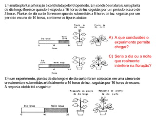 A) A que conclusões o
   experimento permite
   chegar?

C) Seria o dia ou a noite
   que realmente
   interfere na floração?
 