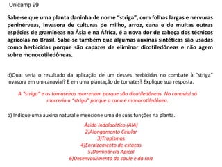 Unicamp 99

Sabe-se que uma planta daninha de nome “striga”, com folhas largas e nervuras
peninérveas, invasora de culturas de milho, arroz, cana e de muitas outras
espécies de gramíneas na Ásia e na África, é a nova dor de cabeça dos técnicos
agrícolas no Brasil. Sabe-se também que algumas auxinas sintéticas são usadas
como herbicidas porque são capazes de eliminar dicotiledôneas e não agem
sobre monocotiledôneas.


d)Qual seria o resultado da aplicação de um desses herbicidas no combate à “striga”
invasora em um canavial? E em uma plantação de tomates? Explique sua resposta.

    A “striga” e os tomateiros morreriam porque são dicotiledôneas. No canavial só
                 morreria a “striga” porque a cana é monocotiledônea.

b) Indique uma auxina natural e mencione uma de suas funções na planta.
                                Ácido Indolacético (AIA)
                                2)Alongamento Celular
                                      3)Tropismos
                              4)Enraizamento de estacas
                                 5)Dominância Apical
                          6)Desenvolvimento do caule e da raiz
 